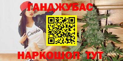 прущие грибы Комсомольск-на-Амуре