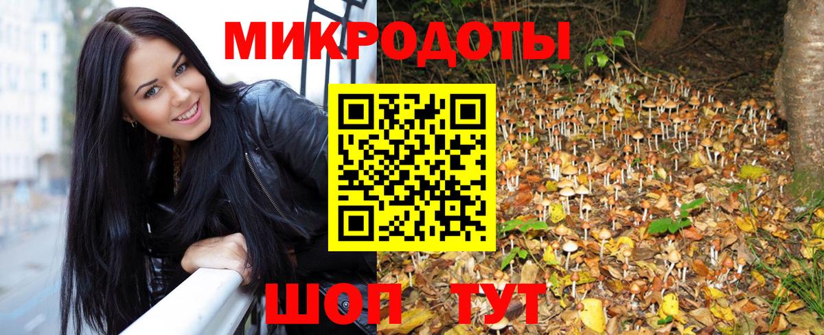 Канаш  Псилоцибиновые грибы Cubensis  Вход с VPN 
