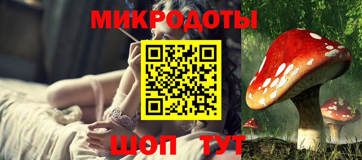 Псилоцибиновые грибы Cubensis Канаш